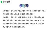 昆虫记PPT课件2