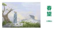 初中语文人教部编版八年级上册春望示范课课件ppt