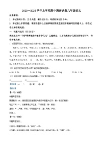 河南省洛阳市汝阳嵩县栾川三县2023-2024学年九年级上学期期中联考语文试题（解析版）