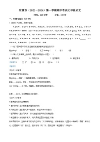 湖北省应城市2023-2024学年七年级上学期期中考试语文试题（解析版）