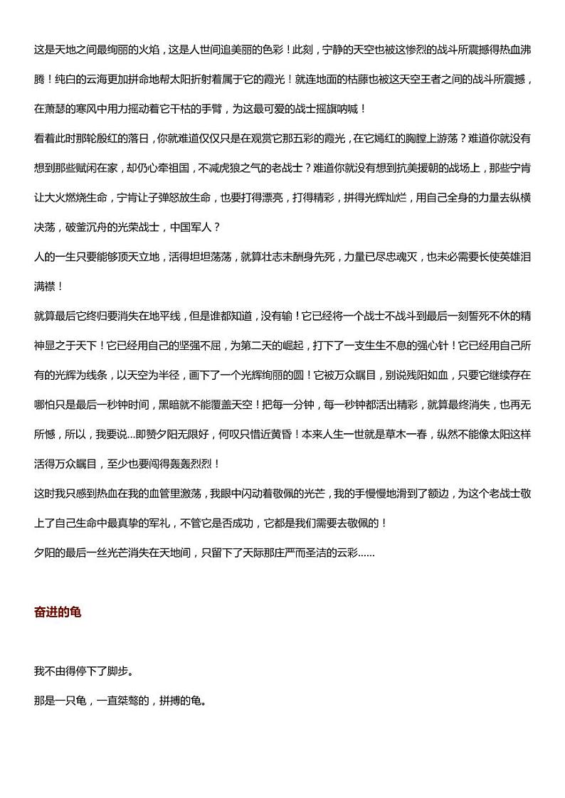 部编版中考九年级下册语文素材作文指导教案+中考满分作文：5篇独具特色的满分作文第3页