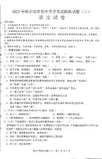 2023哈尔滨市中考模拟教研员六套卷语文（3）试卷及答案