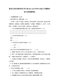 黑龙江省佳木斯市同江市六校2022-2023学年九年级上学期期末联考语文试卷+