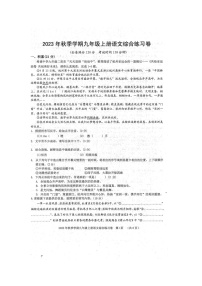 广西壮族自治区防城港市防城区2023-2024学年九年级上学期1月期末模拟考试语文试题