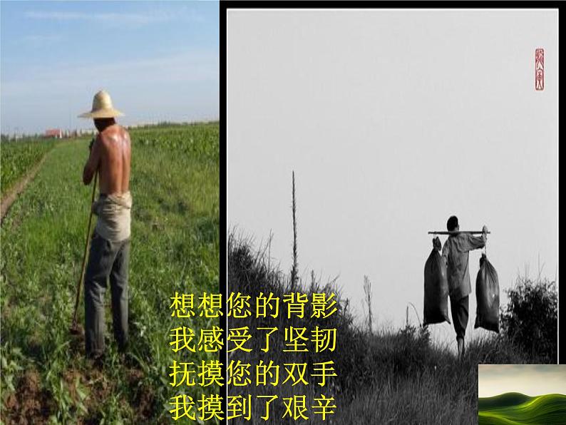 第14课《背影》课件（共 ppt） 2023-2024学年统编版语文八年级上册第3页