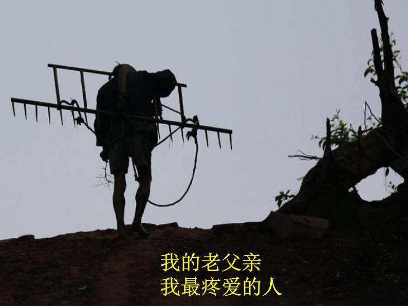 第14课《背影》课件（共 ppt） 2023-2024学年统编版语文八年级上册第5页