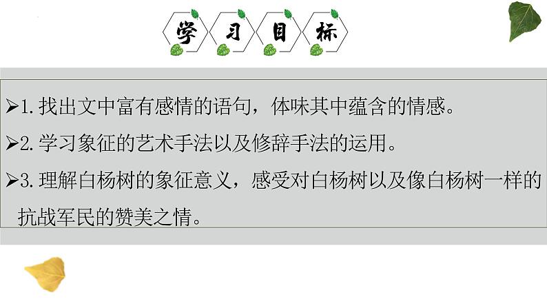 部编版八年级上册语文 第四单元 15 白杨礼赞 茅盾课件第5页