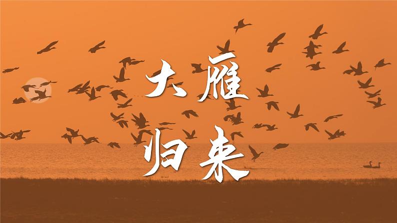 部编版初中语文八年级下册7.大雁归来 课件01