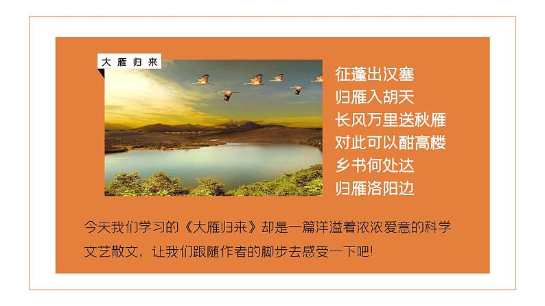 部编版初中语文八年级下册7.大雁归来 课件02