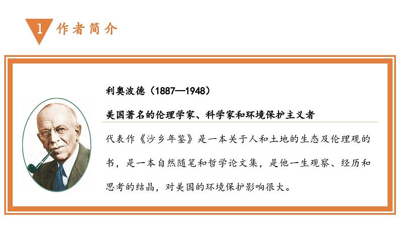 部编版初中语文八年级下册7.大雁归来 课件04