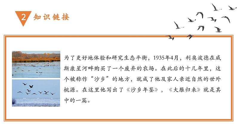 部编版初中语文八年级下册7.大雁归来 课件05