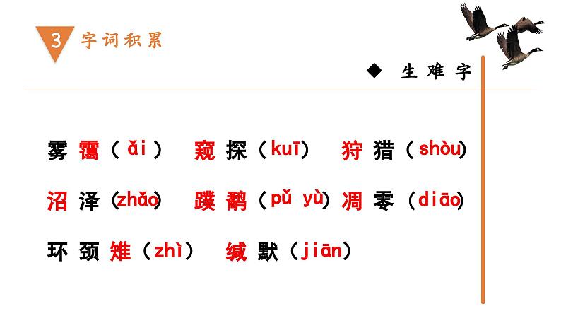 部编版初中语文八年级下册7.大雁归来 课件06
