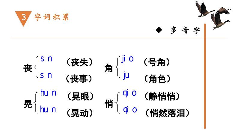 部编版初中语文八年级下册7.大雁归来 课件07