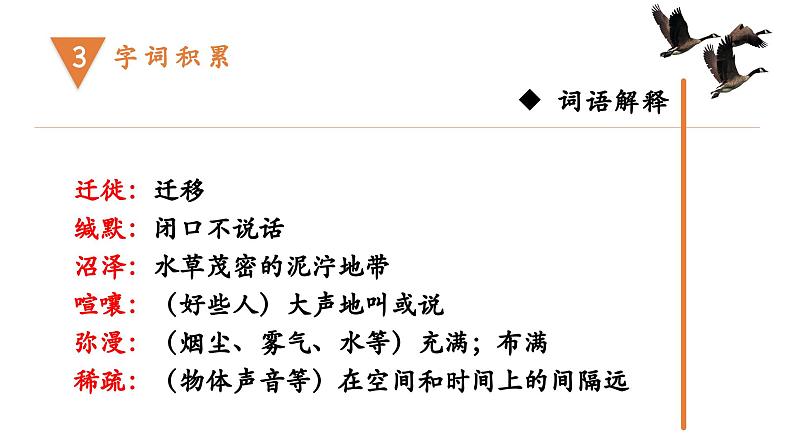 部编版初中语文八年级下册7.大雁归来 课件08