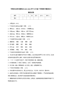 甘肃省定西市陇西县2023-2024学年七年级下册期中测试语文模拟试卷（附答案）