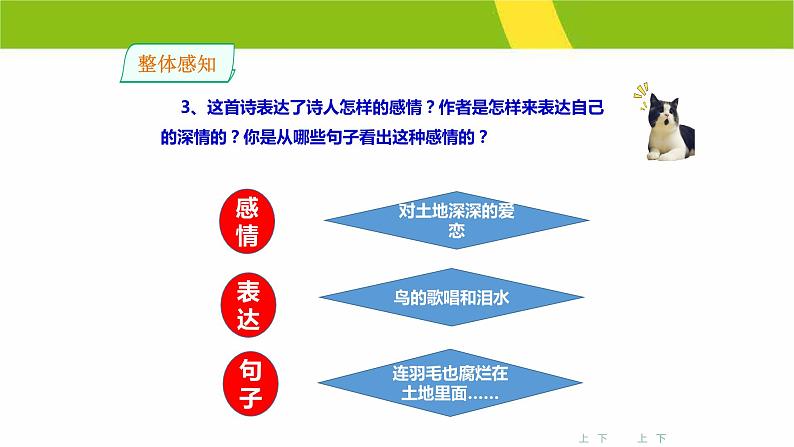 我爱这土地PPT课件4第8页