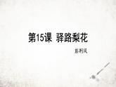 15 驿路梨花 课件 2023-2024学年初中语文部编版七年级下册
