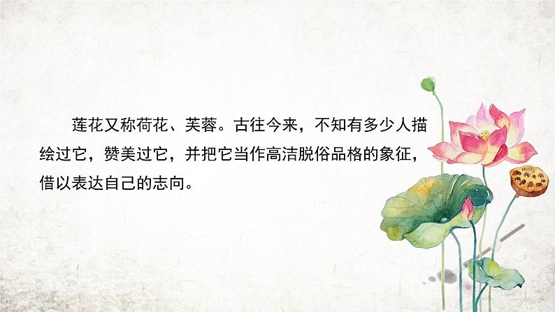 17 爱莲说  课件 2023-2024学年初中语文部编版七年级下册02