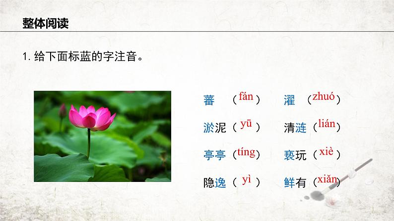 17 爱莲说  课件 2023-2024学年初中语文部编版七年级下册06