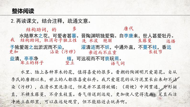 17 爱莲说  课件 2023-2024学年初中语文部编版七年级下册07