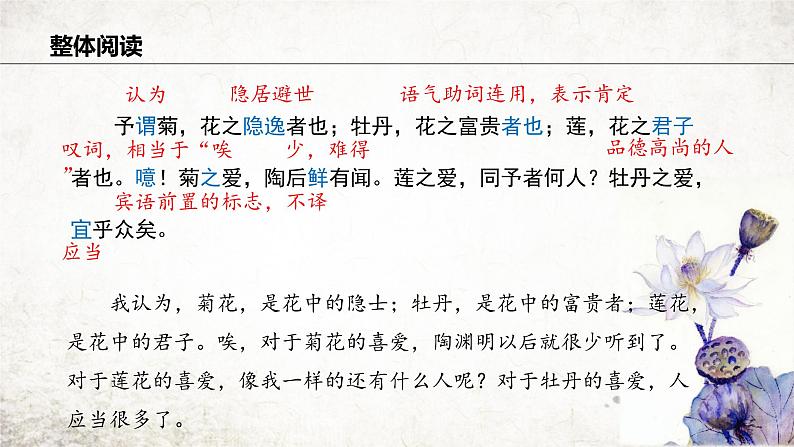 17 爱莲说  课件 2023-2024学年初中语文部编版七年级下册08
