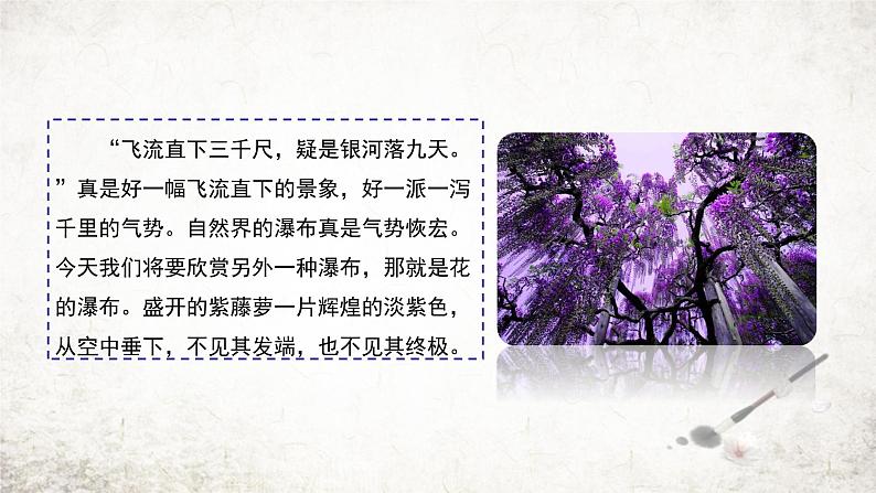18 紫藤萝瀑布  课件 2023-2024学年初中语文部编版七年级下册02