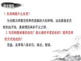 智取生辰纲PPT课件6