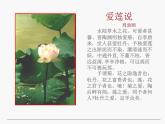 人教版七年级语文下册《爱莲说》PPT课件
