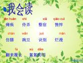 第5课《秋天的怀念》课件（PPT）2023—2024学年统编版语文七上第二单元