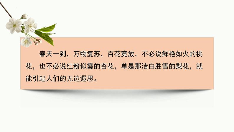第15课《驿路梨花》课件统编版语文七年级下册.pptx第15课《驿路梨花》课件统编版语文七年级下册01