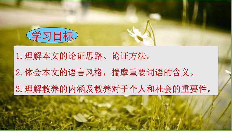 九年级语文上册《论教养》教学创新课件第3页