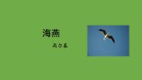 人教部编版九年级下册海燕备课ppt课件