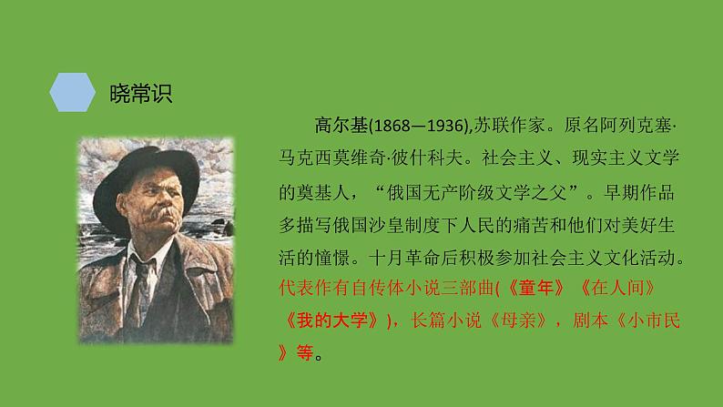 九年级语文下册《海燕》优质课创新课件03