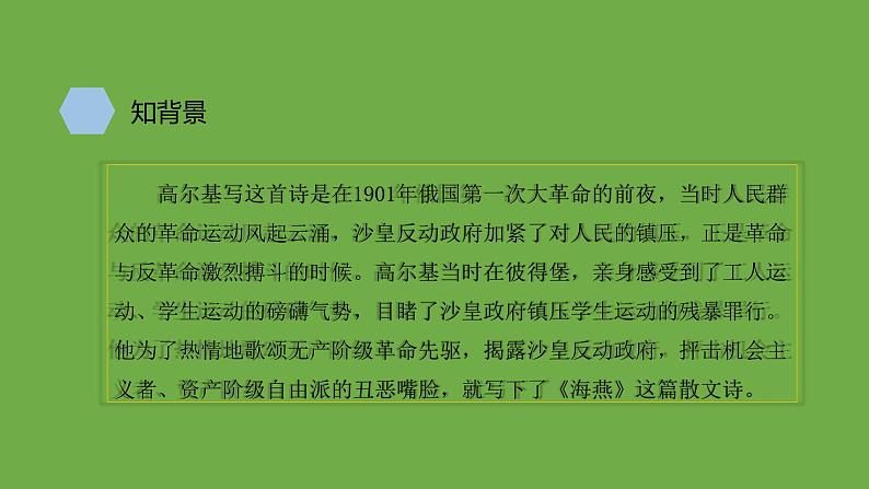 九年级语文下册《海燕》优质课创新课件04