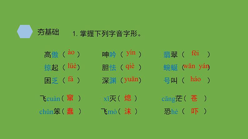 九年级语文下册《海燕》优质课创新课件05