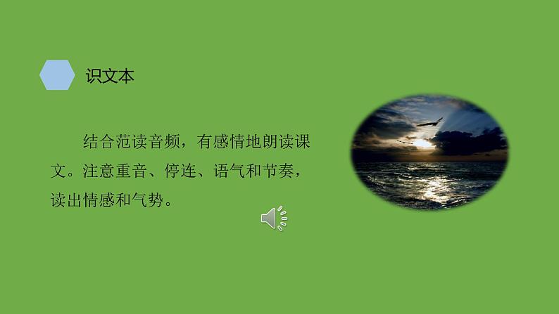 九年级语文下册《海燕》优质课创新课件07