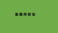 初中语文人教部编版九年级下册鱼我所欲也备课ppt课件