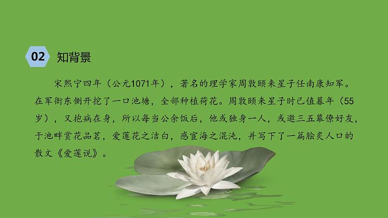 七年级语文下册《爱莲说》优质课创新课件第6页