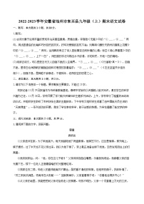 2022-2023学年安徽省池州市东至县九年级（上）期末语文试卷（含详细答案解析）