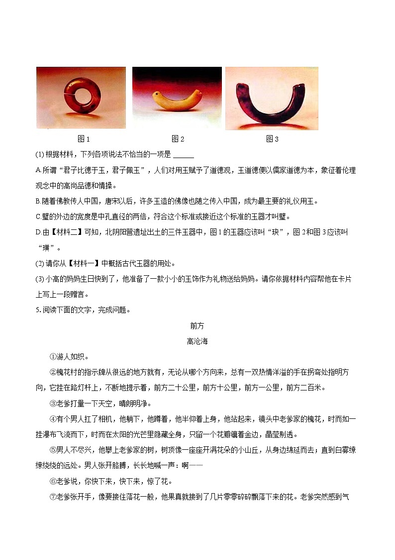 2022-2023学年广东省茂名市高州市九年级（上）期末语文试卷（含详细答案解析）03