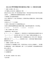 2022-2023学年河南省开封市通许县九年级（上）期末语文试卷（含详细答案解析）