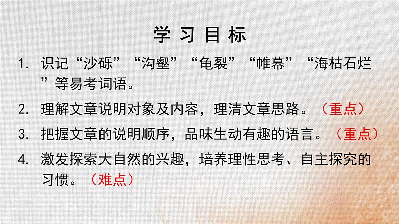 部编版初中语文八年级下册8.时间的脚印 课件第3页