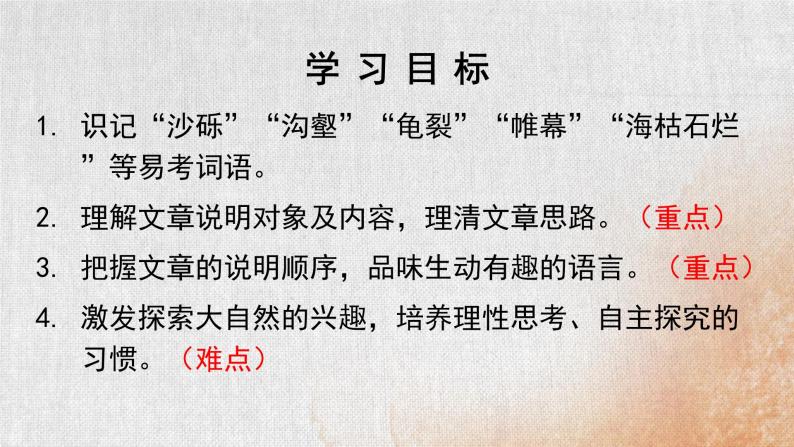 部编版初中语文八年级下册8.时间的脚印 课件03