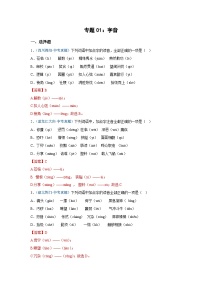 中考语文必刷真题精选 专题01：字音（含答案）