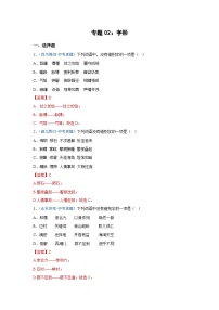 中考语文必刷真题精选 专题02：字形（含答案）