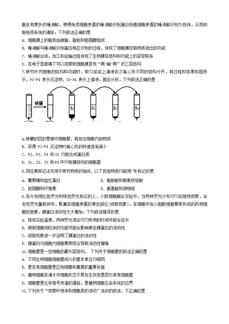甘肃省武威市凉州区武威第七中学2023-2024学年八年级上学期期末考试语文试题第2页