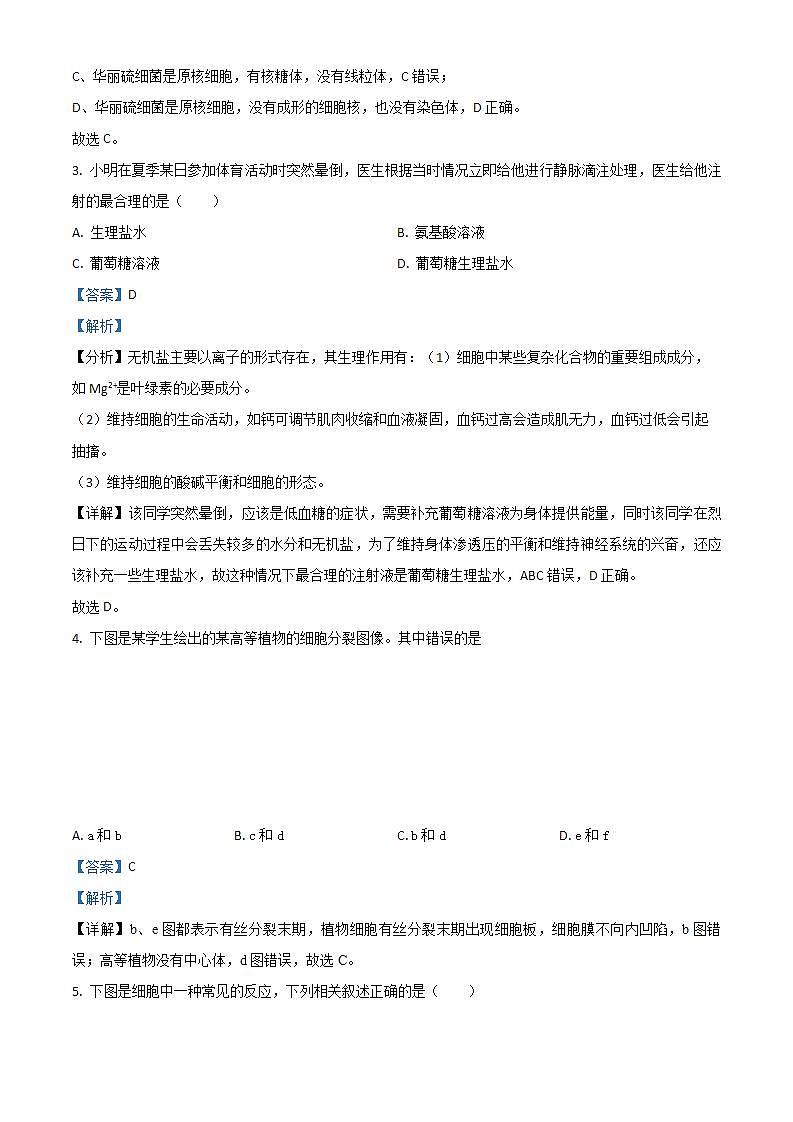 湖南省衡阳市2022-2023学年七年级上学期期末语文试题(无答案)第3页