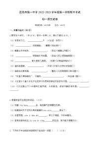 广东省茂名市第一中学2022-2023学年七年级上学期期中考试语文试卷