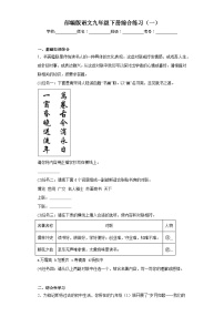 部编版语文九年级下册综合练习（一）