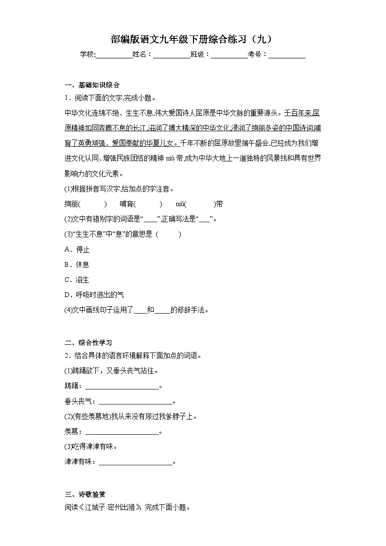 部编版语文九年级下册综合练习（九）01